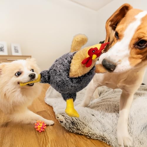 Squeaky Stuffed Dog Toys, Plush Chicken Toy for Small, Medium & Large Dogs - Image 5