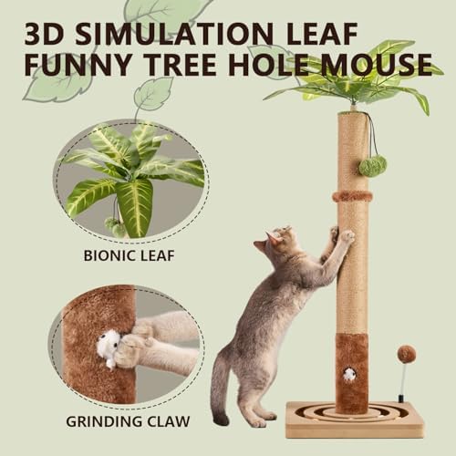 MECOOL Cat Scratching Post Sturdy and Premium Scratch Posts with Hanging Ball and Ball Track Toy Cute Cat Tree 30in for Indoor Kittens - Image 4
