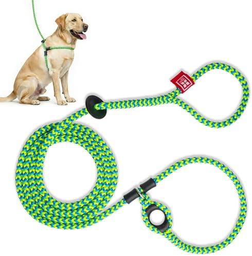 Harness Lead No Pull Dog Harness and Leash Set, Anti Pull Dog Harness, One-Piece Cushioned Rope Safely Prevents Escaping and Pulling (Medium/Large, Peacock/Blue/Lime) by HarnessLead
