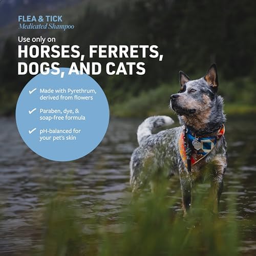 Veterinary Formula Flea and Tick Shampoo for Dogs and Cats & Clinical Care Antiseptic and Antifungal Medicated Shampoo for Dogs & Cats - Image 3