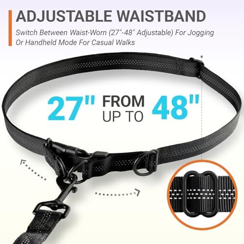 Hands-Free Bungee Dog Leash for Running Walking Small Medium Dogs - Image 2