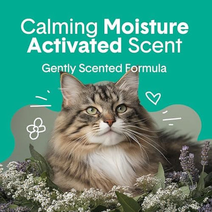 Boxie Premium Scented Clumping Cat Litter 30+ Day Odor Control 40 lb - Image 2