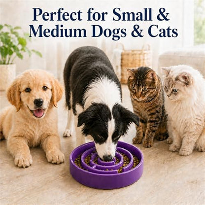 Ceramic Slow Feeder Dog Bowl, 1.5 Cup Puzzle Dish for Small Medium Dogs - Image 3