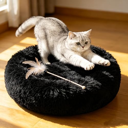 Cat Beds for Indoor Cats - Cat Bed Washable 24 inches, Dog Beds for Small Medium Dogs, Anti Anxiety Round Fluffy Plush Faux Fur Cat Bed, Thick Bottom (Dark, Large 24" L x 24" W) by Unknown