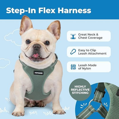 Voyager Step-in Flex Adjustable Dog Harness - Moss Green, X-Small - Image 5
