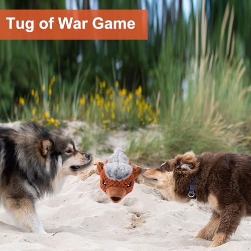 Letsmeet Dog Toys - Squeaky Interactive Plush Dog Toy with Rope, Chew Toy for Large Dogs, Small Dogs & Puppies - Tug of War Dog Toy for Aggressive Chewers, Pet Toys for Dogs - Image 6
