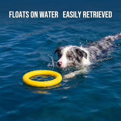 Dog Toys, Dog Chew Toys for Aggressive Chewers,Flying Discs for Medium/Large Breeds. Floating Dog Ring Toys for Throwing, Catching, Grabbing. (Large) - Image 4
