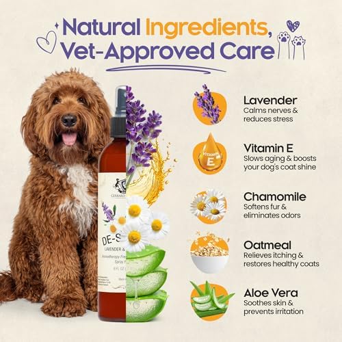 Dog Perfume Spray Long Lasting Chamomile & Lavender 8 Fl Oz, Dog Cologne Spray Long Lasting for Groomers, Calming Deodorizer Perfume for Dogs, Pet Puppy Deodorizing Fragrance by Gerrard Larriett - Image 3