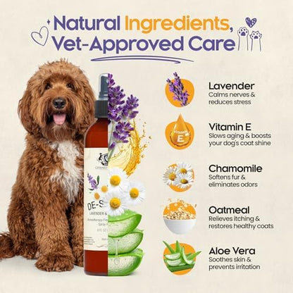 Dog Perfume Spray Long Lasting Chamomile & Lavender 8 Fl Oz, Dog Cologne Spray Long Lasting for Groomers, Calming Deodorizer Perfume for Dogs, Pet Puppy Deodorizing Fragrance by Gerrard Larriett - Image 3