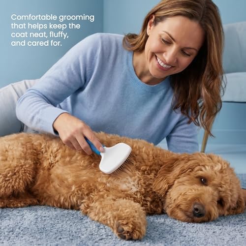Poodle Pet Slicker Brush - For Dogs, Cats, and Rabbits - Removes Matted Fur, Knots, and Loose Hair - Suitable for Grooming Doodles and Goldendoodles with Short or Long Hair - Image 2