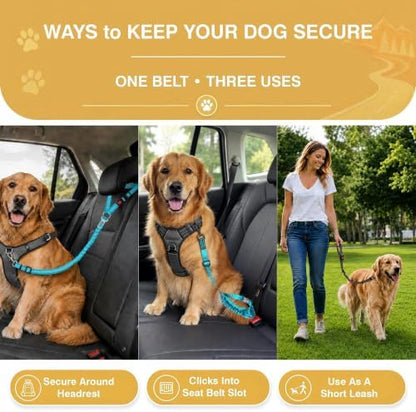 Dog Seat Belt for Car 2 Pack, 3-in-1 Adjustable-Length Bungee Tether - Image 3