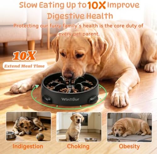WinTour Slow Feeder Dog Bowls for Small Medium Pets, Round PP Dish, 1 Pack - Image 2