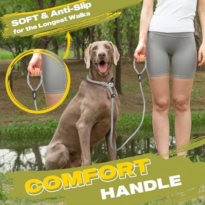 Fida Durable Slip Lead Dog Leash, 6 FT x 1/2" Dog Training Leash, Grey - Image 6