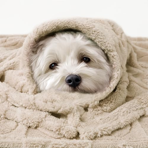Luciphia 2 Pack Small Dog Blanket, Cozy Fleece Throw for Puppy Cat,57"x40" - Image 6