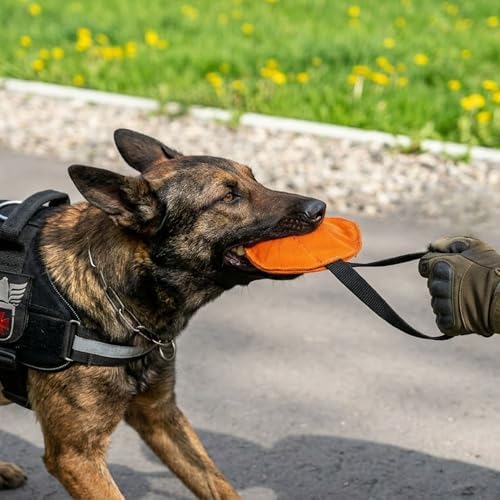 Dingo Gear Dog tug Toy, French Linen, disc, Orange 10,6in - Image 5