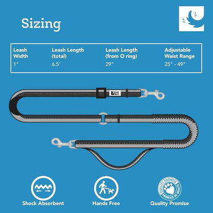 RC Pets Bungee Active Dog Leash, Hands-Free 4-in-1 Dog Leash, Mulberry/Azalea