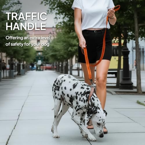Twoear 6FT 1IN Heavy Duty Dog Leash for Large Dogs with 2 Padded Handles - Image 6