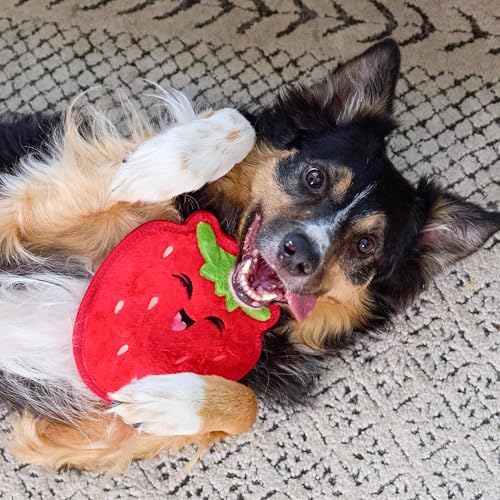 Outward Hound Tough Skinz Durable Chew Squeaky Dog Toy, Strawberry, 7.9" - Image 6