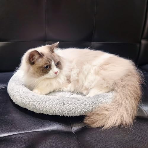Enjoying Plush Cat Bed Mat, 15.75" Round, Self Warming Dog Bed with Pillow, Puppy Kitty Relying/Curling Sleep Cushion, Warm Bed for Small to Medium Dogs Cats Rabbits, Antiskid Bottom, Medium - Image 6