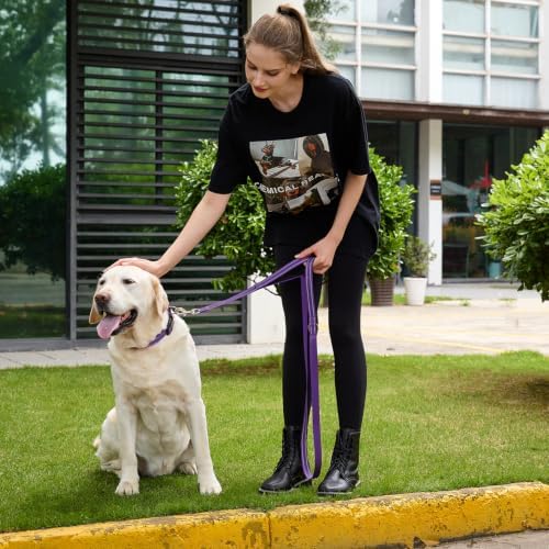 6 FT Purple Nylon Reflective Dog Leash for Large Dogs with 2 Padded Handle - Image 2