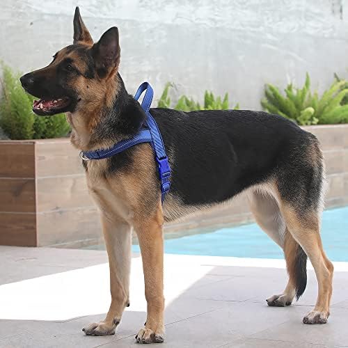 Plutus Pet No Pull Dog Harness for Large Dogs, Breathable Mesh Padded - Image 5