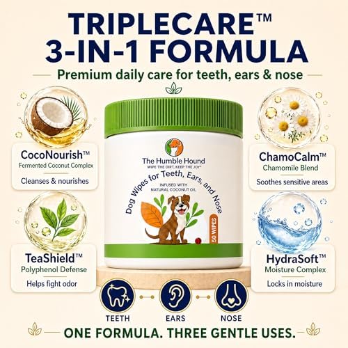 3-in-1 Dog Dental Wipes – Finger Wipes for Teeth, Ears & Snout Infused with Coconut Oil | Promotes Fresh Breath, Tartar Control & Daily Hygiene | Gentle Grooming Wipes for All Dogs – 50 Count - Image 3