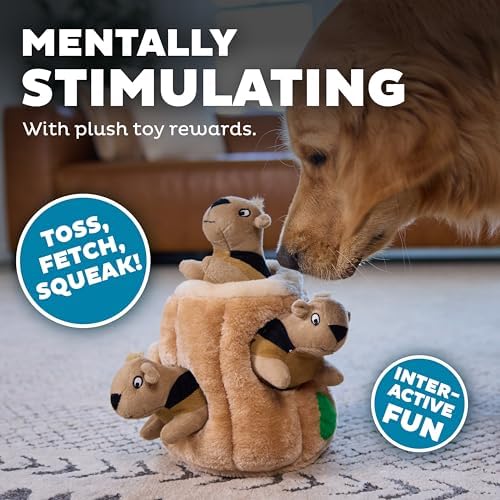 Outward Hound Hide-A-Squirrel Plush Squeaky Dog Toy, Large, 10.5" x 7.5" - Image 5
