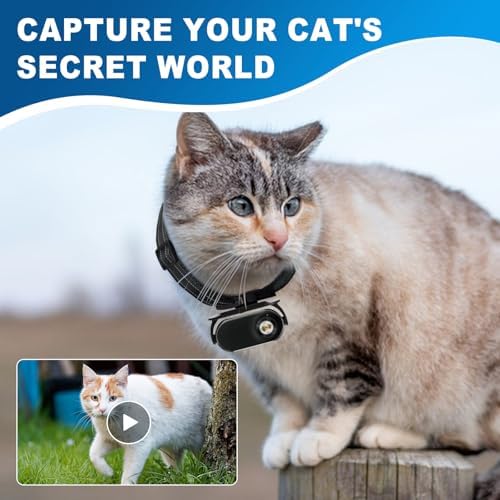 1080P Cat Camera Collar - Wireless Mini Sport Cam with Video Recording, Small Action Camera for Pet Supplies, Indoor/Outdoor Body Cam for Cats（Black Standard） - Image 2