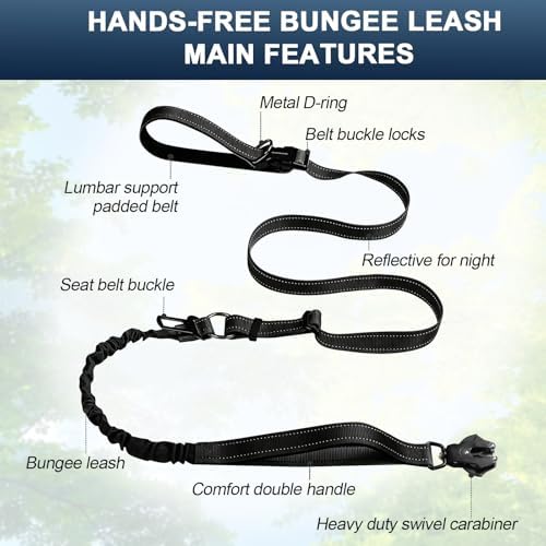 Heavy Duty Hands Free Dog Leash with Quick Release Carabiner and Adjustable No Pull Bungee Dog Running Waist Leash，for Walking and Training with Car Seat Belt 4-6FT (Black) - Image 2