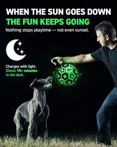 QDAN Premium Glow in The Dark Dog Toys, Dog Ball with Straps, Soccer Ball for Dogs, Outdoor Dog Toys, Pet Birthday Toys, Puppy Essentials for Medium to Large (8Inch) - Image 4