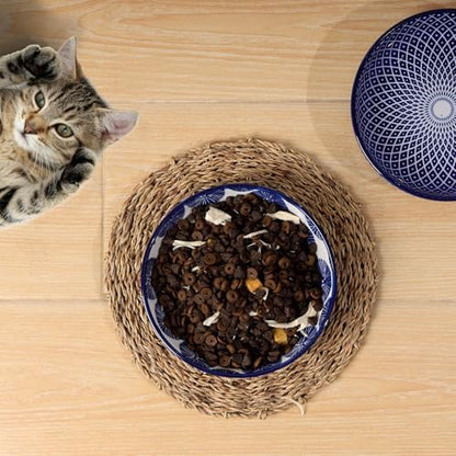 Selamica 5.6 Inch Ceramic Cat Bowls, Set of 6, Vintage Blue - Image 6