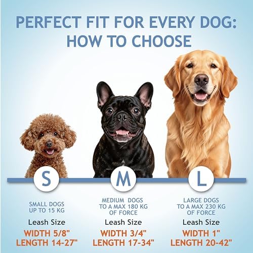 Kruz Double Dog Leash for Two Dogs (Width - ¾”, Length 17”-34”) Dual Leash Coupler with Tangle-Free Swivel, Shock-Absorbing Reflective Bungee for Comfortable Walking & Training (Blue, Medium) - Image 5