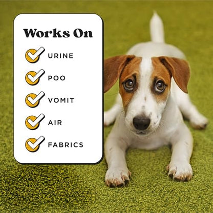 Pet-Pourri Air + Fabric Dog Odor Deodorizer Spray, Canine Coconut 16 Fl Oz - Image 6