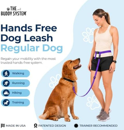 The Buddy System - Hands Free Dog Leash - Regular Dog, Regular, Purple - Image 2