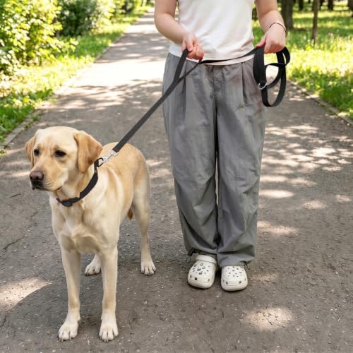 Waterproof Dog Leash with Double Handle, 6 FT Durable Odor-Proof Dog Leashes with Strong Aviation Aluminum Hooks Fits Small Medium or Large Dogs - Image 5