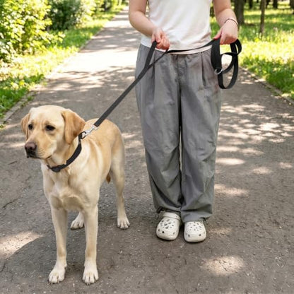 Waterproof Dog Leash with Double Handle, 6 FT Durable Odor-Proof Dog Leashes with Strong Aviation Aluminum Hooks Fits Small Medium or Large Dogs - Image 5