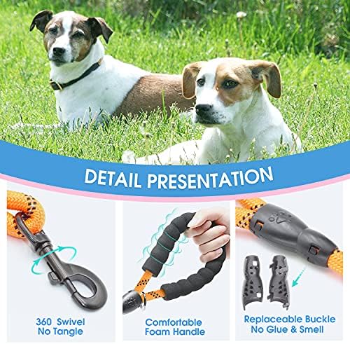 BAAPET 2/4/5/6 FT Dog Leash with Comfortable Padded Handle and Highly Reflective Threads for Small Medium and Large Dogs (2FT-1/2'', Orange) - Image 3