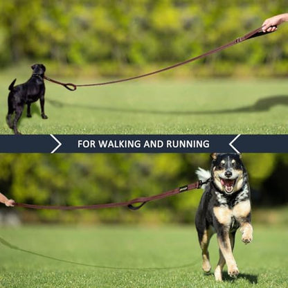 Plutus Pet Double Handle Dog Leash, 4 FT Long, for Medium Large Dogs - Image 7