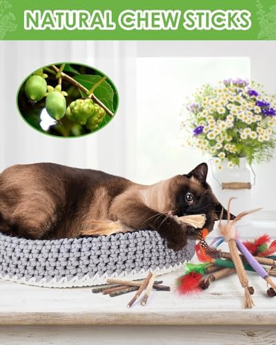 TINDTOP Silvervine Chew Sticks for Cats, 12 Pack Natural Catnip Chew Toys - Image 6