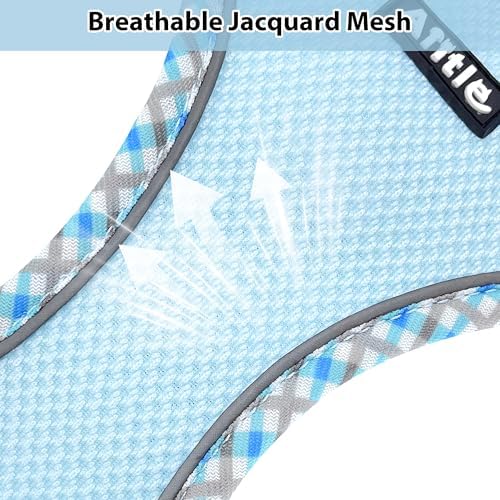 AIITLE Teacup Puppy Harness with Leash, Escape-Proof Design, Blue S - Image 2