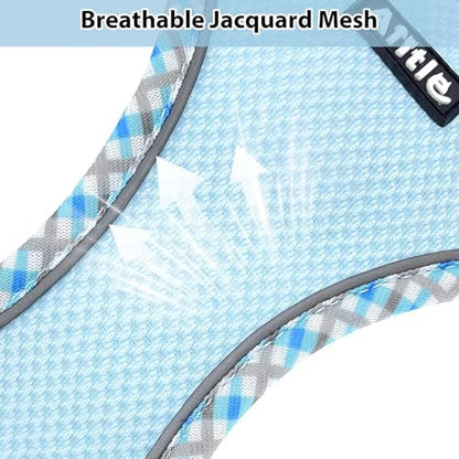 AIITLE Teacup Puppy Harness with Leash, Escape-Proof Design, Blue S - Image 2
