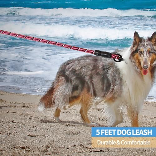 BAAPET 2/4/5/6 FT Dog Leash with Comfortable Padded Handle and Highly Reflective Threads for Small Medium and Large Dogs (5FT-1/2'', Black Pink) - Image 5