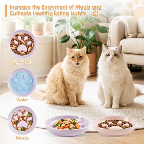 Cat Slow Feeder Bowl Set,2 Pcs Pastel Series Cat Plate for Dry and Wet Food - Image 5