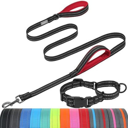 VIVAGLORY Double Handle Dog Leash Twingrip, 5ft x 1in, S, Black by VIVAGLORY