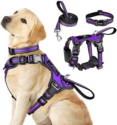 WINSEE Pet Harness Collar and Leash Set, All-in-one Reflective Dog Harness No Pull with Adjustable Buckles for Puppies, Small, Medium, Large, and Extra-Large Dogs (Large, Purple) by WINSEE