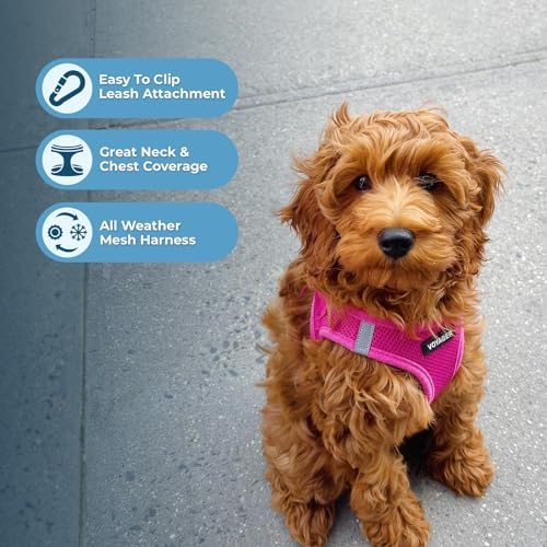 Best Pet Supplies Voyager Step-in Air All Weather Mesh Harness and Reflective Dog 5ft Leash Combo with Neoprene Handle, for Small, Medium and Large Breed Puppies - Fuchsia, Medium - Image 6