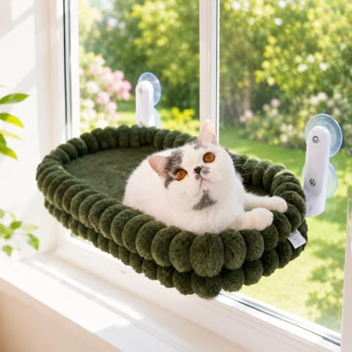 CHEERPALS Cat Window Perch for Indoor Cats Hammock for Window with Reversible Cushion, Foldable Cat Window Bed for Large Cats and Kittens, Cloud Series(Green,Medium) by CHEERPALS