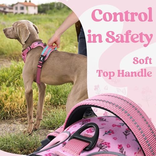 rabbitgoo Dog Harness Medium Sized, Updated Easy On & Off with 3 Buckles - Image 5