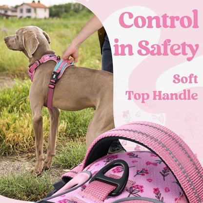 rabbitgoo Dog Harness Medium Sized, Updated Easy On & Off with 3 Buckles - Image 5
