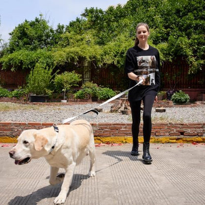 6 FT Silver Nylon Reflective Dog Leash for Large Dogs with 2 Padded Handle - Image 6